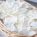 1500Pcs Real Dried Ivory White Hydrangea Flower Petals by Gifugi