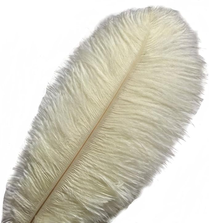 KOLIGHT 40pcs 12''~14'' Natural Ostrich Feathers by KOLIGHT