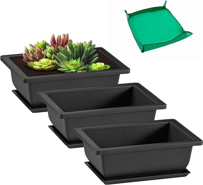 GROWNEER 3 Pcs 6.5 Inch Bonsai Pots by GROWNEER