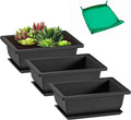 GROWNEER 3 Pcs 6.5 Inch Bonsai Pots by GROWNEER