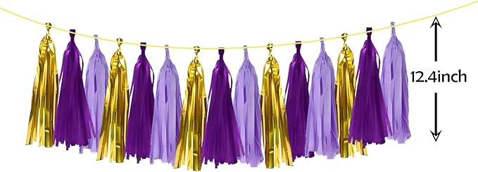 ZOOYOO Shiny Tassel Garland Tissue Paper Tassel Banner Table Decor, DIY Kits - Image 2