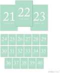 Andaz Press Mint Green Wedding Table Numbers 21-40, 4x6-Inches Table Number by AndazPress