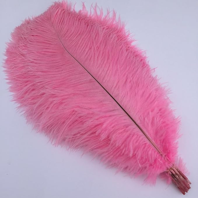 Sowder 16-18inch Ostrich Feathers Plume - Image 2
