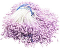 HAHIYO 700Pcs 3mm Light Purple Pearl Double Head Flower Stamen by HAHIYO