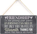 Rustic Wooden Signs Friendship Is like pissing your pants Sign Hanging Wall Art by Eletina