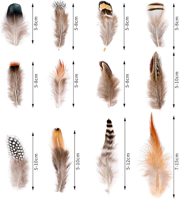 Ballinger 240pcs 12 Styled Natural Feathers Assorted Mixed Feathers - Image 4