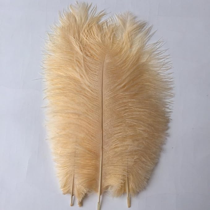 KOLIGHT 40pcs 12''~14'' Natural Ostrich Feathers - Image 2