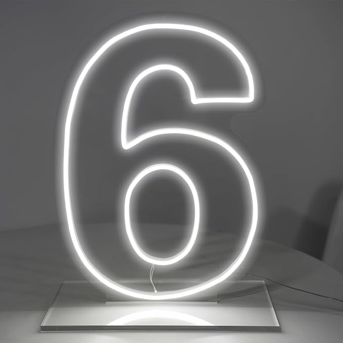 Number 6 Neon Sign for Birthday, 16.54" Cool White USB Battery Powered Led Neon by LIYUNEON