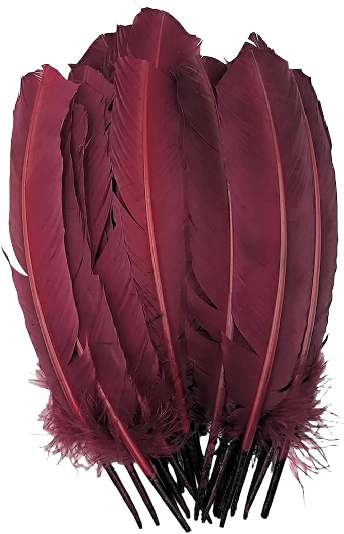 Burgundy Turkey Feathers, Turkish Feather by Unknown