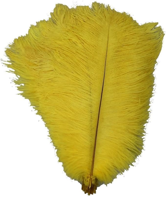 Kolight® 40pcs 12''~14'' Natural Ostrich Feathers by KOLIGHT