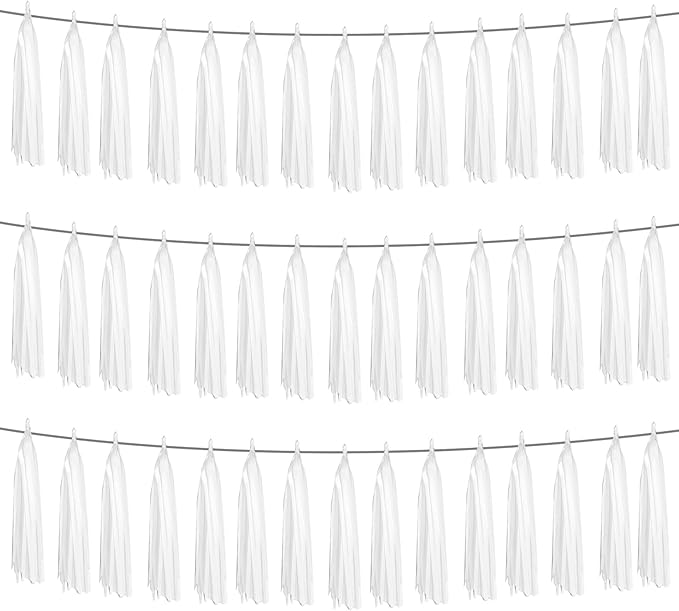 3P White Foil Fringe Metallic Tassel Streamers Banner Tassel Garland by HYSILLA
