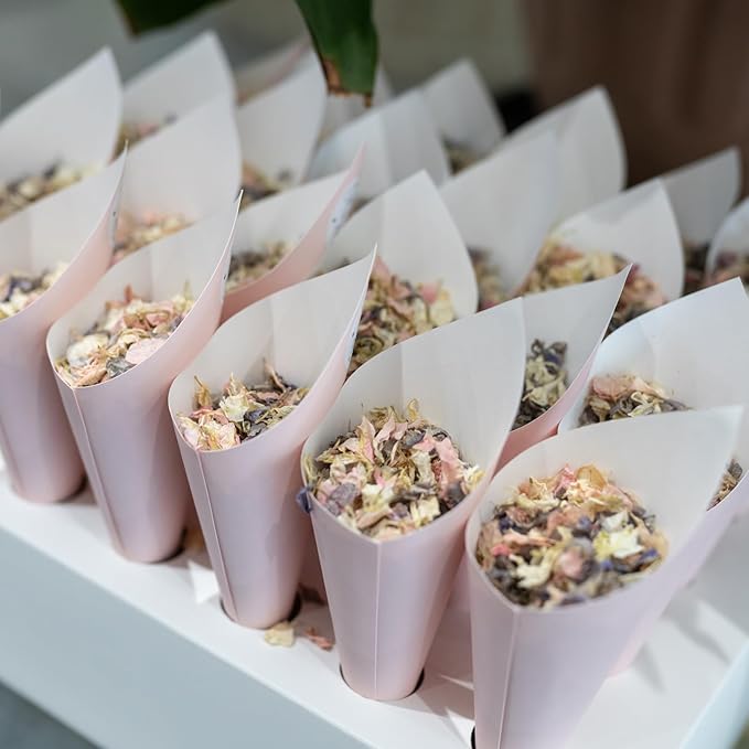 50 Pack Party Confetti Cone Holder - Image 2