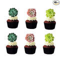 24pcs Edible Cupcake toppers Succulents Hawaiian Party Cake Summer Decoration by GEORLD