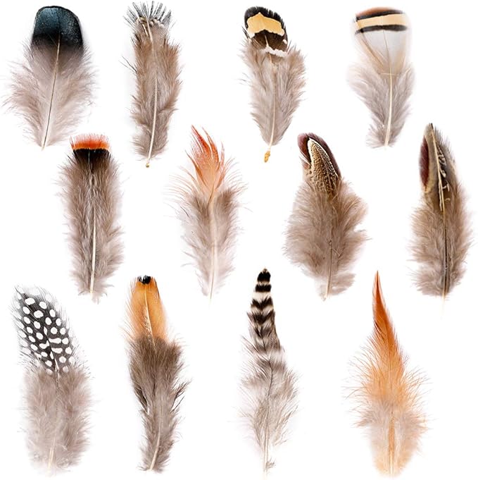 Ballinger 240pcs 12 Styled Natural Feathers Assorted Mixed Feathers by Ballinger