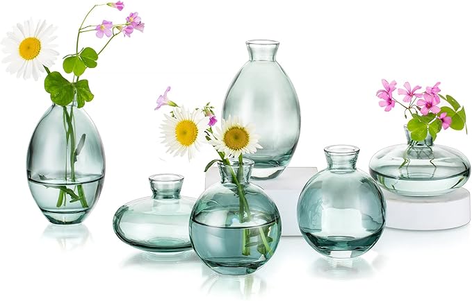 Glass Bud Vases Set of 6, Hewory Cute Green Small Vases Handmade, Mini Glass by Hewory