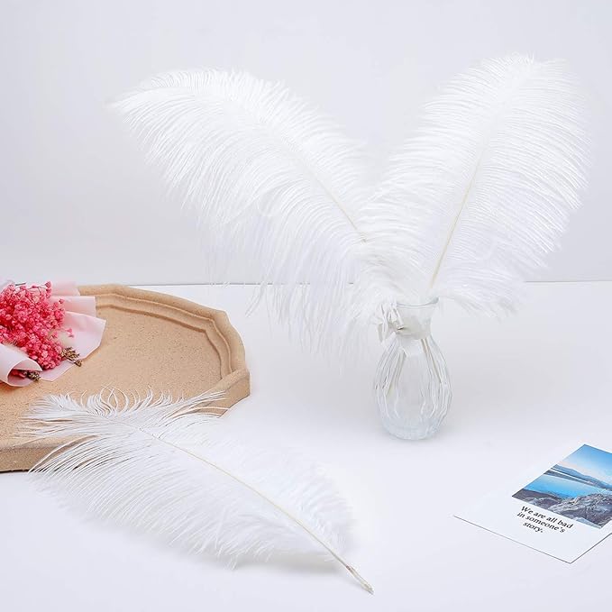 Ballinger Large White Ostrich Feathers - Image 8