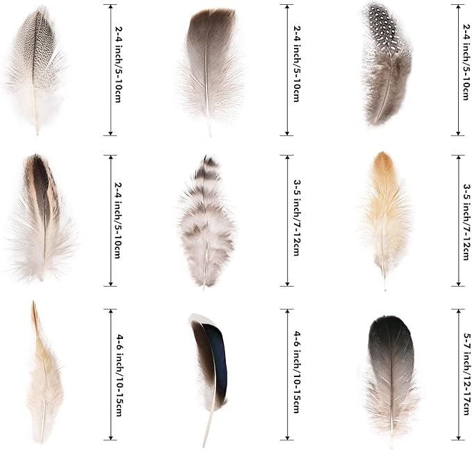 MAOFENG 270pcs 9 Styles Natural Bulk Feathers Assorted Mixed Feathers - Image 2