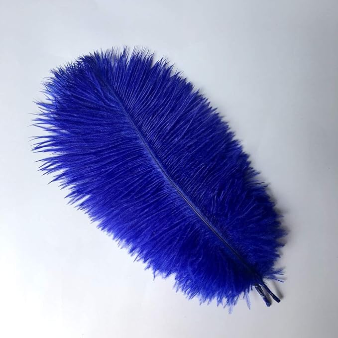 Sowder 8-10inch Ostrich Feathers Plume - Image 2