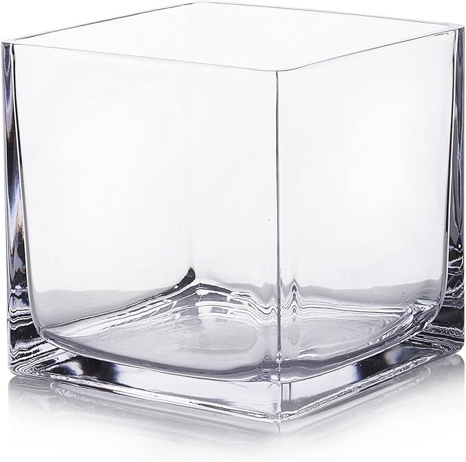 EnovaFloral Cube Glass Vase, 5x5 Inch Square Glass Vase by EnovaFloralInc