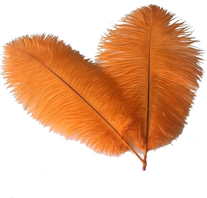 Sowder 6-8inch Ostrich Feathers Plume by Sowder