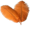 Sowder 10-12inch Ostrich Feathers Plume by Sowder