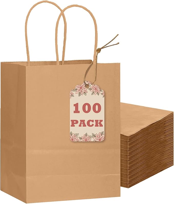 qiqee 100-Packs Brown Paper Gift Bags by Qiqee
