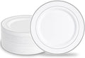 N9R 100PCS Silver Plastic Plates, 10.25 inch White Disposable Dinner Plate by N9RTABLEWARE