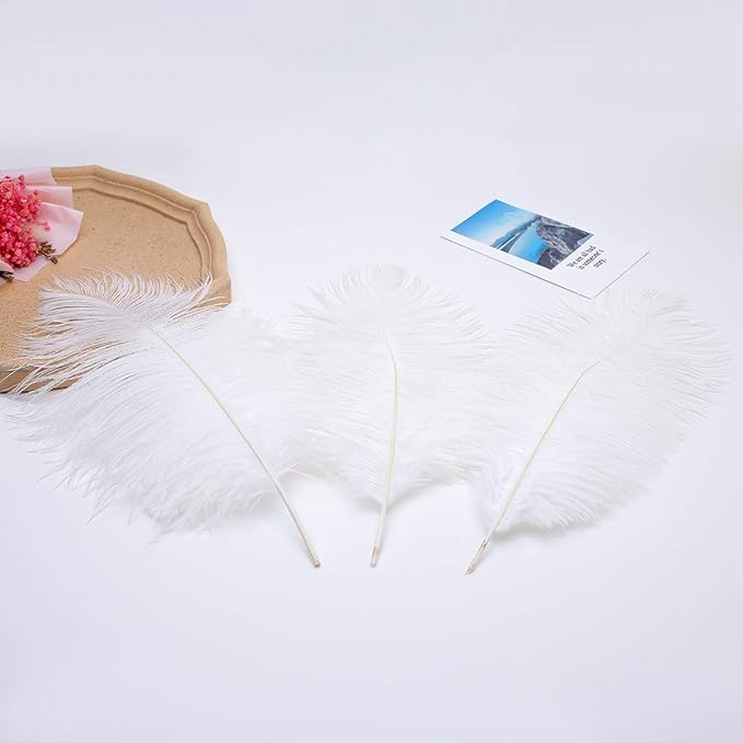24pcs Natural White Ostrich Feathers 10-12inch - Image 8