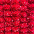 Artificial Marigold Garland for Decoration, Diwali Decorations Pack of 5 by Hashcart