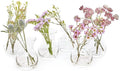 CHIVE ‘George’ Glass Bottle Flower Vases — Set of 6 — Small, Elegant Clear by Chive
