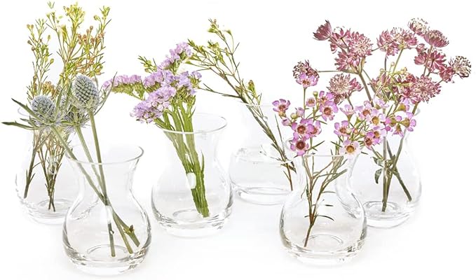 CHIVE ‘George’ Glass Bottle Flower Vases — Set of 6 — Small, Elegant Clear by Chive