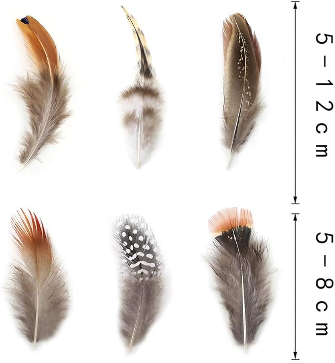 180pcs 9 Styled Natural Feathers Assorted Mixed Feathers - Image 5