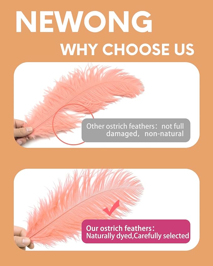 NEWONG 30pcs Rouge Pink Ostrich Feathers Natural Bulk 8-10in（20-25cm） Vase - Image 4