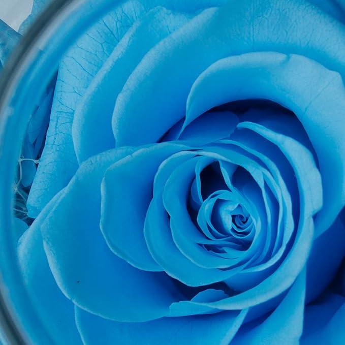 Preserved Real Roses with Colorful Mood Light Wishing Bottle, Eternal - Image 5