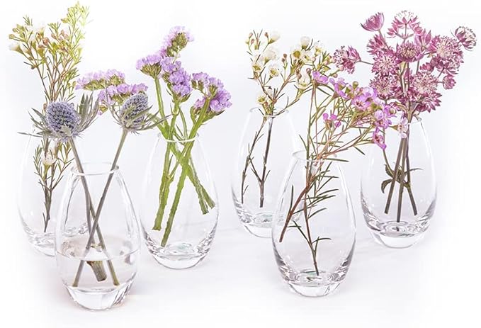 CHIVE ‘George’ Glass Bottle Flower Vases — Set of 6 — Small, Elegant Clear by Chive