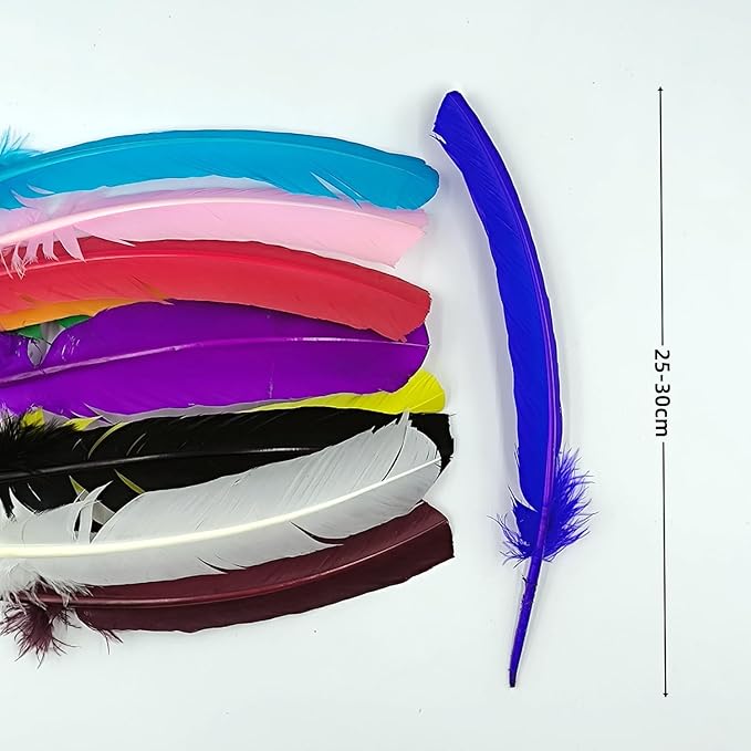Colorful Turkey Feathers, Turkish Feather - Image 2