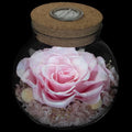 Preserved Real Roses with Colorful Mood Light Wishing Bottle, Eternal by roliys