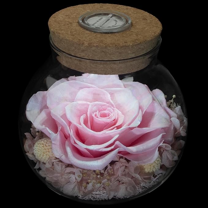 Preserved Real Roses with Colorful Mood Light Wishing Bottle, Eternal by roliys