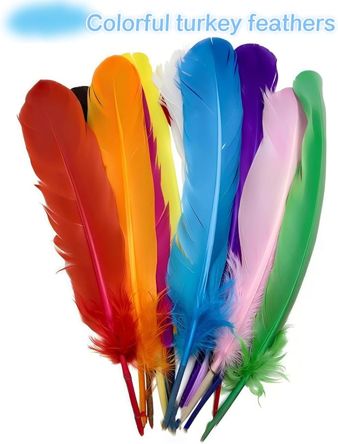 Colorful Turkey Feathers, Turkish Feather - Image 3