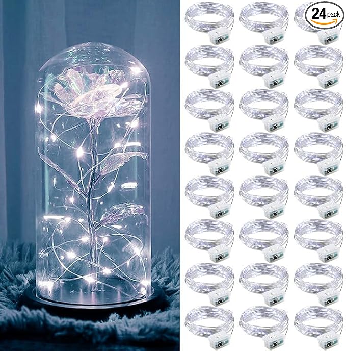 ZGWJ 24 Pack Fairy Lights Battery Operated, 7ft 20 Mini LED Fairy String Lights by ZGWJ