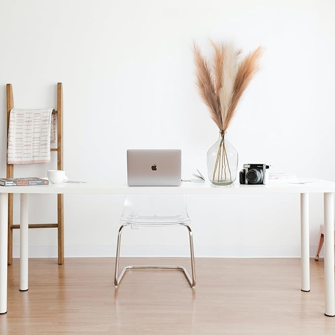 EVODIS Pampas Grass Decor Tall - Image 4