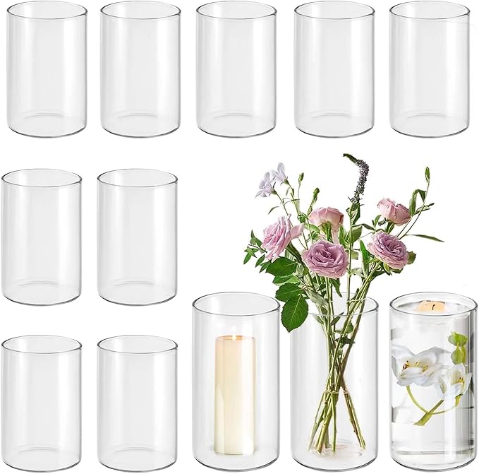 12pcs Glass Vase Cylinder Vases by OGEH