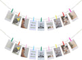 Hanging Photo Display Wall Decor, Living Room, Dorm Decor by KLOGTSINDDirect