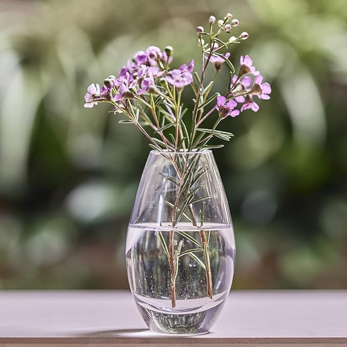 CHIVE ‘George’ Glass Bottle Flower Vases — Set of 6 — Small, Elegant Clear - Image 5
