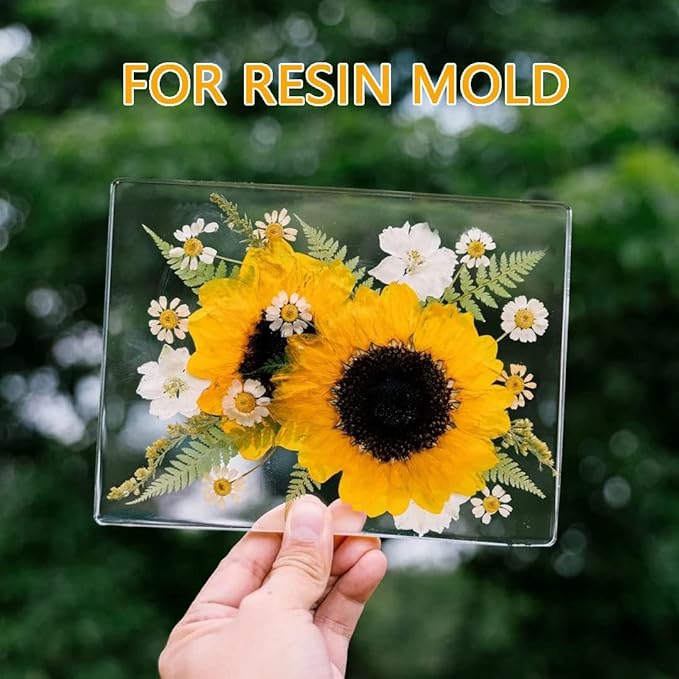 16 Types Boho Dried Pressed Flowers - Image 5