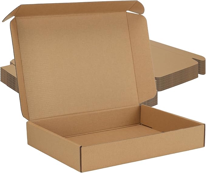 MEBRUDY 12x9x2 Inches Shipping Boxes Pack of 20, Small Corrugated Cardboard Box by MEBRUDY