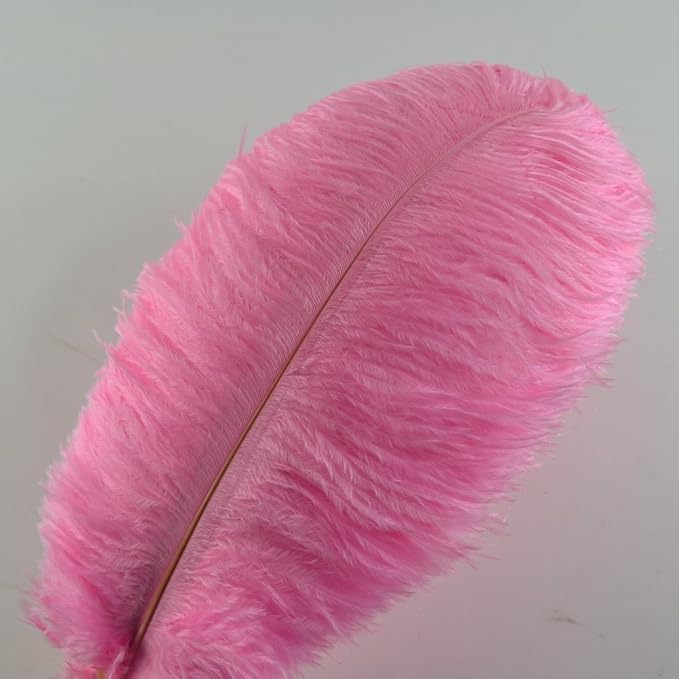 KOLIGHT® 40pcs 12''~14'' Natural Ostrich Feathers - Image 2