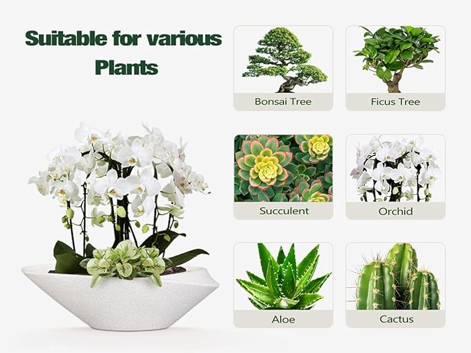 Bonsai Pots - 18 Inch Ceramic Plant Pot - Image 8
