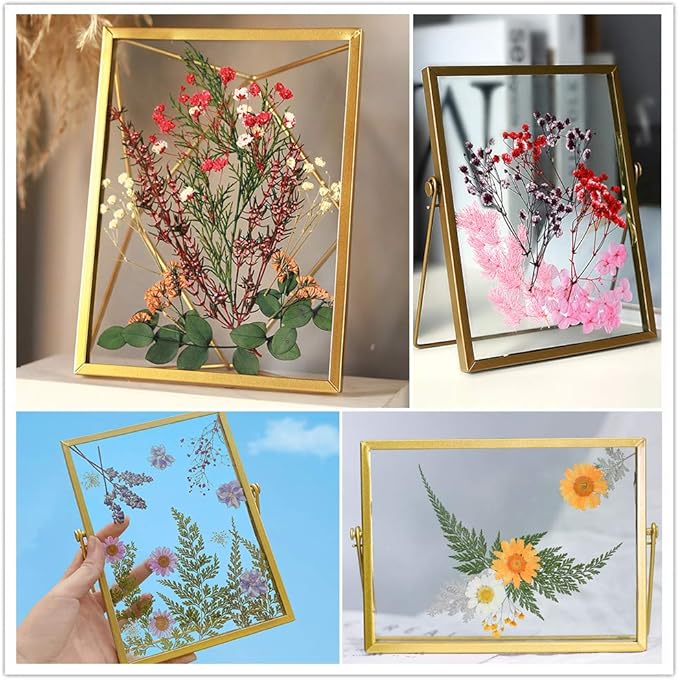 Vignee Real Dried Pressed Leaf Flowers-Multiple Colorful Pressed Flowers Daisies - Image 2