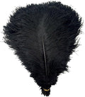 KOLIGHT 40pcs 12''~14'' Natural Ostrich Feathers by KOLIGHT